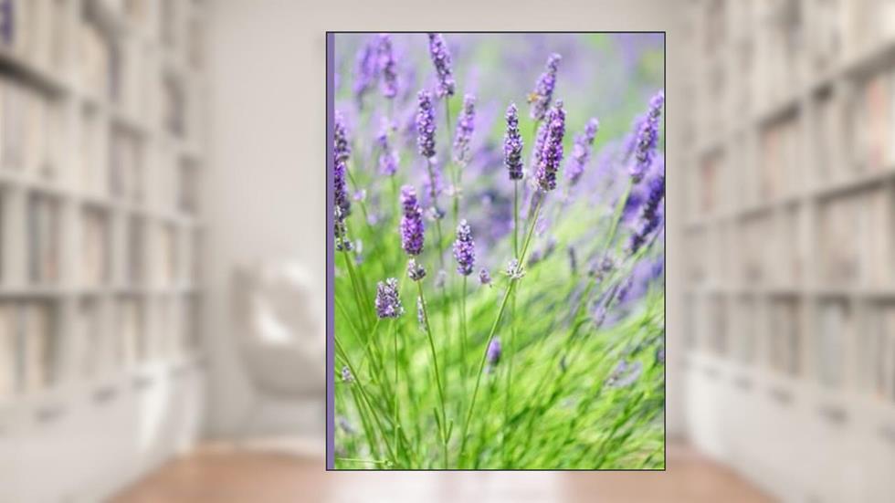 Notebook: Lavender Flowers Lined Composition Book, Journal, Diary, Workbook for Students, Adults, Children, College Ruled, 120 pages, written by One With Nature