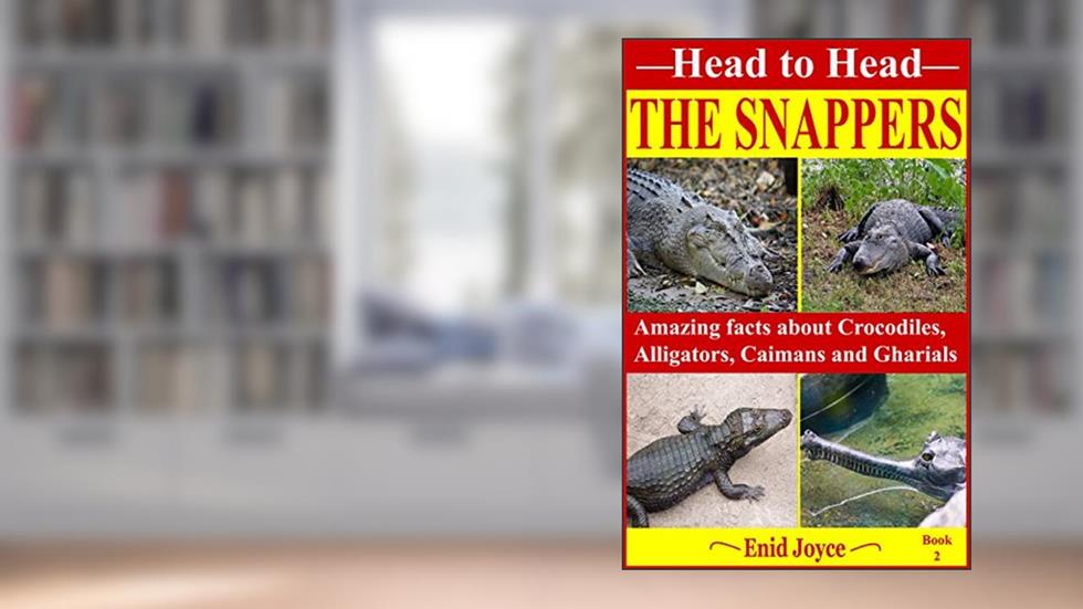 The Snappers: Amazing facts about the Crocodile, the Alligator, the Caiman and the Gharial (Head to Head Book 2), written by Enid Joyce
