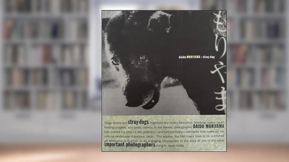 Daido Moriyama: Stray Dog, written by Alexandra Munroe; Sandra Phillips; Daido Moriyama