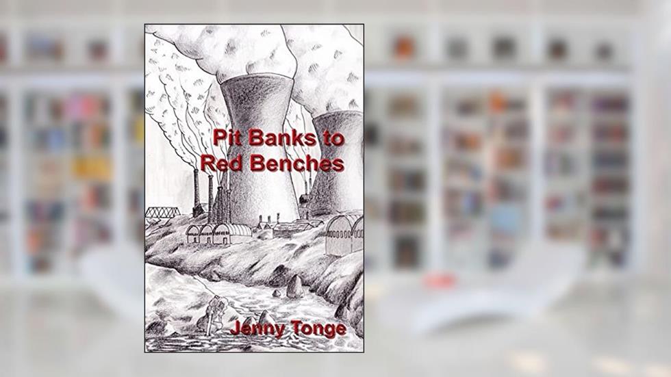Pit Banks to Red Benches: From the Black Country to the Lords, written by Jenny Tonge