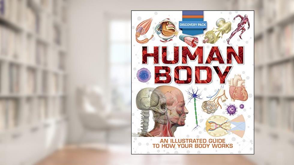 Discovery Pack: Human Body, written by Clare Hibbert
