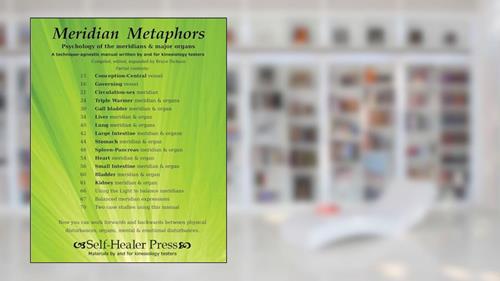 Cover from Meridian Metaphors: Psychology of the meridians and major organs (Best Practices in Energy Medicine), written by Bruce Dickson MSS