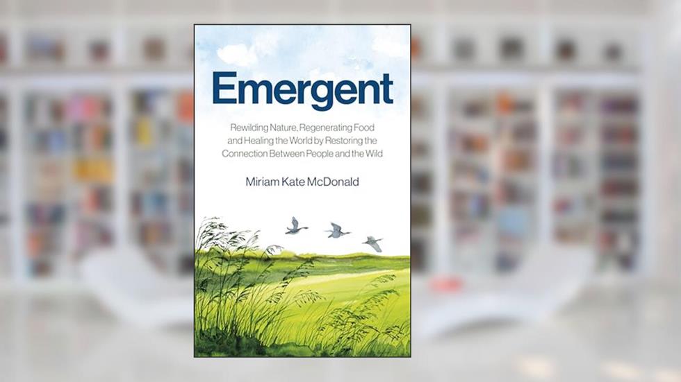 Emergent (Environment), written by McDonald Miriam