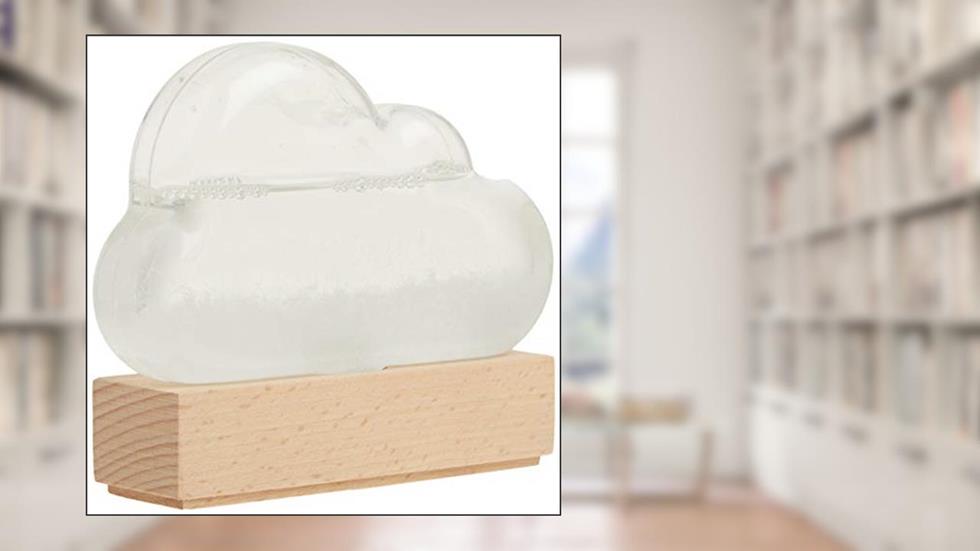 Storm Cloud: A Weather Predicting Instrument, written by Bitten