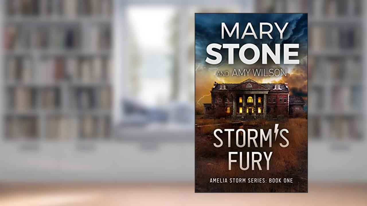 Storm's Fury (Amelia Storm FBI Mystery Series Book 1), written by Mary Stone