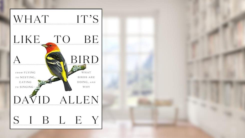 What It's Like to Be a Bird: From Flying to Nesting, Eating to Singing--What Birds Are Doing, and Why (Sibley Guides), written by David Allen Sibley
