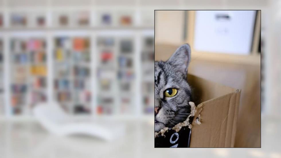 Composition Notebook With Uniqe Cat Cover: Sketchbook, Notebook, Diary, Journal: Perfect Gift For Cat Lovers, written by Eva Victor