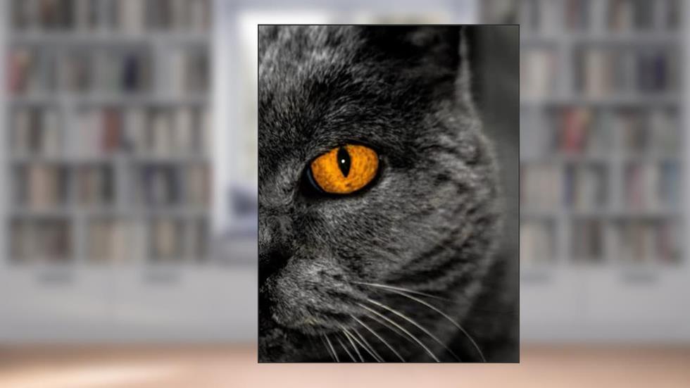 Composition Notebook With Uniqe Black Cat Cover: Sketchbook, Notebook, Diary, Journal: Perfect Gift For Cat Lovers, written by Eva Victor