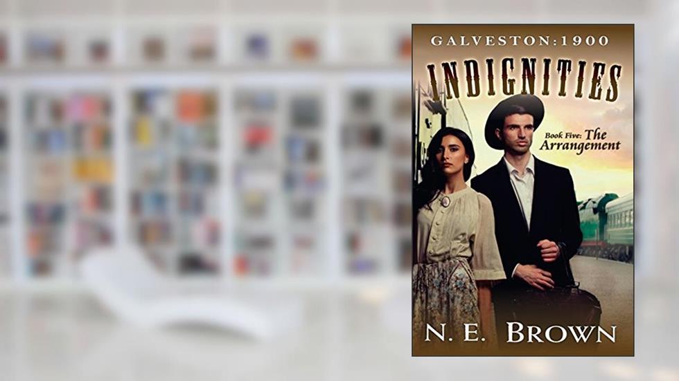 Galveston: 1900-Indignities Book 5: The Arrangement, written by N.E. Brown