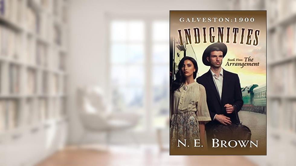 Galveston: 1900 - Indignities Book 5: The Arrangement, written by N.E. Brown