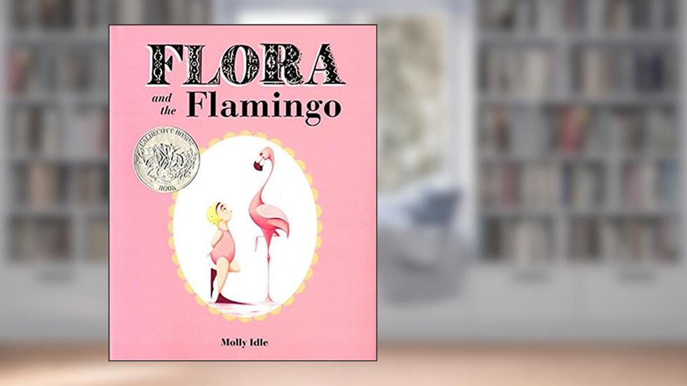 Flora and the Flamingo, written by Molly Idle