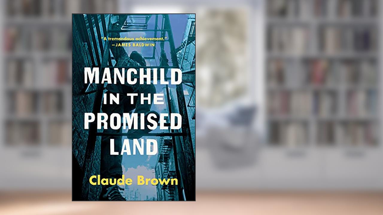 Manchild in the Promised Land, written by Claude Brown