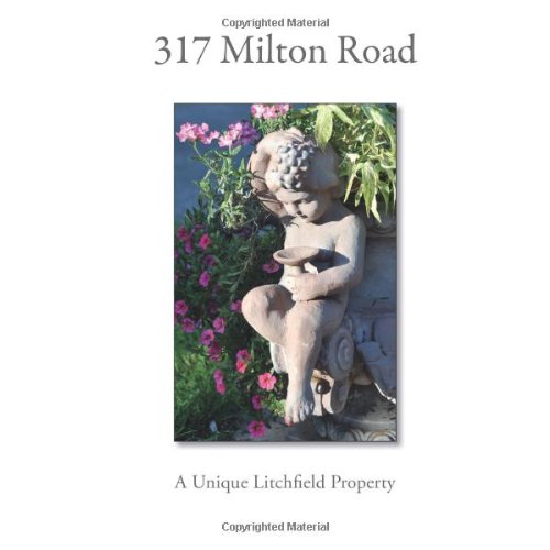 Read 317 Milton Road, written by David Rosenthal
