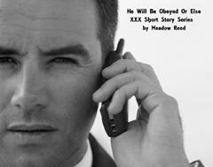 He Will Be Obeyed Or Else (XXX Short Story Series Book 1), written by Meadow Reed