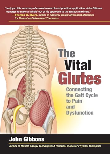 Read The Vital Glutes: Connecting the Gait Cycle to Pain and Dysfunction, written by John Gibbons