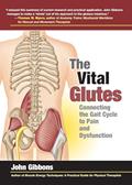 Read The Vital Glutes: Connecting the Gait Cycle to Pain and Dysfunction, written by John Gibbons