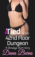 Read Tied in the 42nd Floor Dungeon: A BDSM Short Story (Sam and Reck Book 2), written by Dana Burns