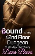 Read Bound in the 42nd Floor Dungeon: A Bondage Short Story (Sam and Reck Book 3), written by Dana Burns