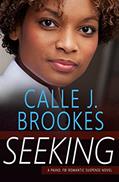 Read Seeking (PAVAD- FBI Romantic Suspense Book 17), written by Calle J. Brookes