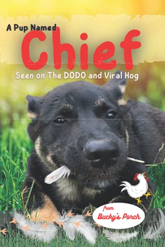Read A Pup Named Chief (Bucky's Porch), written by Cheryl Stephen