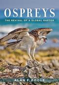 Read Ospreys: The Revival of a Global Raptor, written by Alan F. Poole