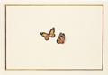 Read Monarch Butterflies Note Cards (Stationery, Boxed Cards), written by Peter Pauper Press
