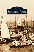 Read Seaside Park, written by Andrew J Anderson