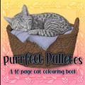 Read Purrfect Palletes - A 40 Page Cat Colouring Book for Adults: Relax and Unwind as you Colour these Adorable Kitty Pictures, written by Rainbow Lab