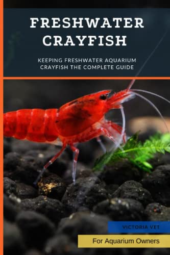 Read Freshwater Crayfish: Keeping Freshwater Aquarium Crayfish th? Complete Guide, written by Victoria Vet