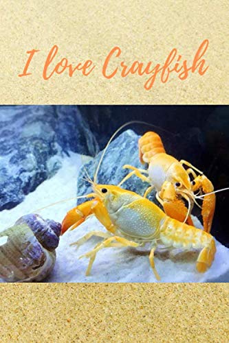 Read I love crayfish ( version.6 ) : Notebook : For all of crayfish 's lovers: Beautiful notebook cover with crayfish 's picture created by Kasidit Wannurak at 05/07/20, written by Kasidit Wannurak