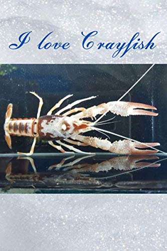 Read I love Crayfish ( Version 7 ) : Notebook : For all of crayfish 's Lover: Beautiful notebook cover with crayfish 's picture created by Kasidit Wannurak at 07/07/20, written by Kasidit Wannurak