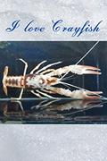 Read I love Crayfish ( Version 7 ) : Notebook : For all of crayfish 's Lover: Beautiful notebook cover with crayfish 's picture created by Kasidit Wannurak at 07/07/20, written by Kasidit Wannurak