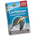 Read Caribbean Ocean Life Guide - Fish Identification Book for Beginners | 50 Species & Marine Animals Scavenger Hunt for Divers, Snorkelers & Kids, written by Shelby Drake