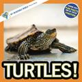Read Turtles!: A My Incredible World Picture Book for Children (My Incredible World: Nature and Animal Picture Books for Children), written by My Incredible World; Hope Aicher Read Turtles!: A My Incredible World Picture Book for Children (My Incredible World: Nature and Animal Picture Books for Children), written by My Incredible World; Hope Aicher