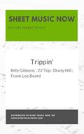 Read Trippin', written by Billy Gibbons; ZZ Top; Dusty Hill; Frank Lee Beard