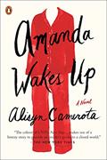 Read Amanda Wakes Up: A Novel, written by Alisyn Camerota