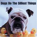 Read Dogs Do The Silliest Things, written by Alexandra Ortolja-Baird