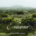 Read Endeavour: Poetry Anthology - Volume Three, written by Chantelle Lowe
