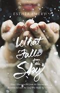 Read What Falls from the Sky: How I Disconnected from the Internet and Reconnected with the God Who Made the Clouds, written by Esther Emery