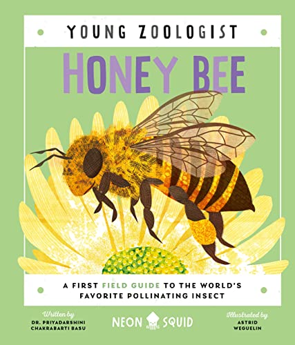 Read Honey Bee (Young Zoologist): A First Field Guide to the World's Favorite Pollinating Insect, written by Priyadarshini Chakrabarti Basu; Neon Squid