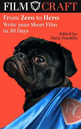 Read From Zero to Hero: Write your Short in 30 Days, written by Daisy Franklin; Amy Roberts; Luke Delaney