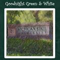 Read Goodnight Green & White: MSU Spartan Bedtime Story, written by Samantha Hawthorne