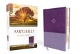 Read The Amplified Study Bible, Leathersoft, Purple, written by Zondervan