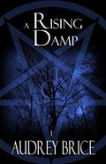 Read A Rising Damp: (Thirteen Covens) (Fourteen Tales of Thirteen Covens Book 1), written by Audrey Brice