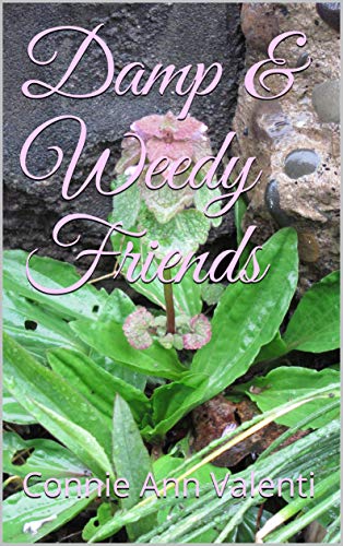 Read Damp & Weedy Friends (The Artsy Lady's Children's Songbook Series 2), written by Connie Ann Valenti Read Damp & Weedy Friends (The Artsy Lady's Children's Songbook Series 2), written by Connie Ann Valenti