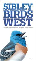 Read Sibley Birds West: Field Guide to Birds of Western North America (Sibley Guides), written by David Allen Sibley Read Sibley Birds West: Field Guide to Birds of Western North America (Sibley Guides), written by David Allen Sibley