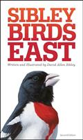 Read The Sibley Field Guide to Birds of Eastern North America: Second Edition (Sibley Guides), written by David Allen Sibley Read The Sibley Field Guide to Birds of Eastern North America: Second Edition (Sibley Guides), written by David Allen Sibley