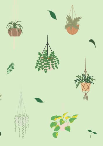 Read Hanging Plant Journal, written by Kay Greb