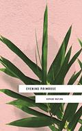 Read Evening Primrose: a heart-wrenching novel for our times, written by Kopano Matlwa