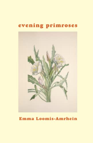 Read evening primroses, written by Emma Loomis-Amrhein
